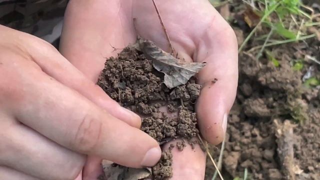 Дорога к церкви!Чешуя и советские монеты! смотреть онлайн
