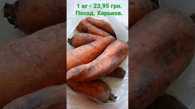 #морковь #морковка #морковный #продуктыпитания #продукты #ценынапродукты #ценывукраине #carrots смотреть онлайн