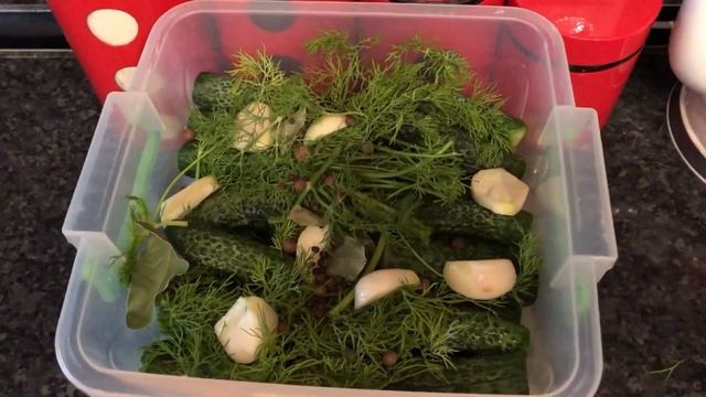 Простые и вкусные рецепты