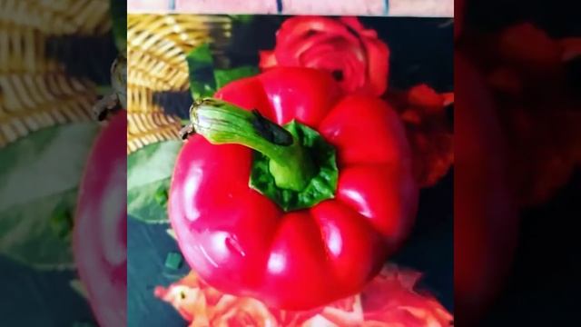 пп омлет смотреть онлайн