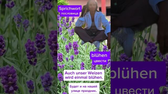 Пословицы, поговорки украшают вашу речь и делать её более качественной!#немецкийнакаждыйдень смотреть онлайн