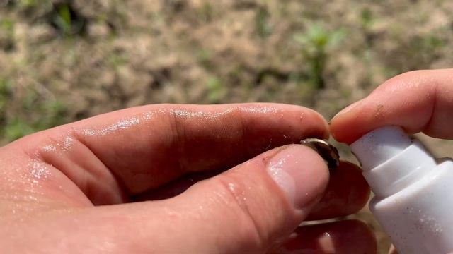 ОТКОПАЛ СТАРИННЫЕ УКРАШЕНИЯ! смотреть онлайн