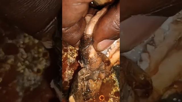 boiled tender traditional smoked eel|ensonzi |emamba|mudfish soup#shorts #viral смотреть онлайн
