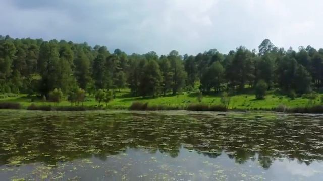 Построение коллективного будущего..Софоос. чен. 05.06.2024 г. Конгломератный Разум смотреть онлайн