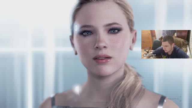 Detroit Bicame Human