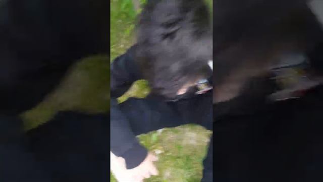 сиреноголовый снюс кобяков а4 рофл тренд симпл димпл смотреть онлайн