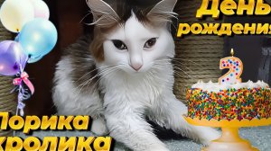 День Рождения Лорика кролика.