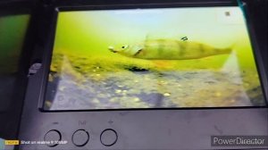 ЗИМНЯЯ РЫБАЛКА НА ПОДВОДНУЮ КАМЕРУ