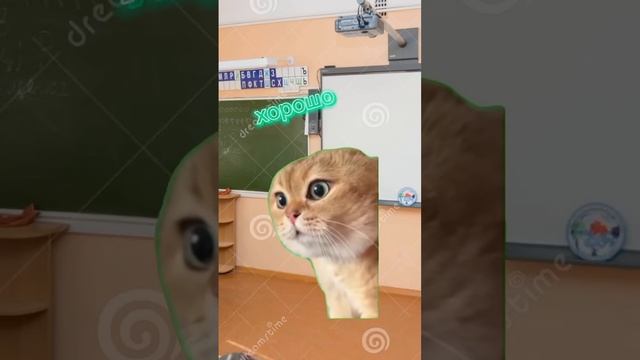 кто в 1812 году захвотил москву? #напалеон #цезарь смотреть онлайн