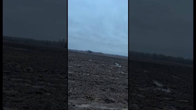 Камрадам на счастье!!! смотреть онлайн