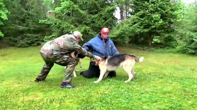 Барвиттера Даррун и Артемтда.Тренинг.Защита смотреть онлайн