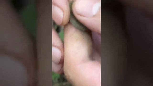 20 копеек АЛЕКСАНДР 2 смотреть онлайн