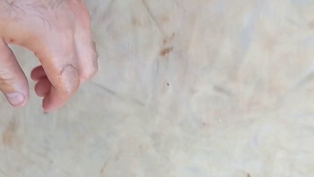 Teri keptiry. Как сушить сыромятины КРС смотреть онлайн