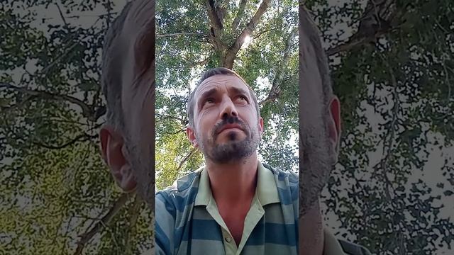 После детства. Стихотворение М. Щербакова с берегов Бухтармы. смотреть онлайн