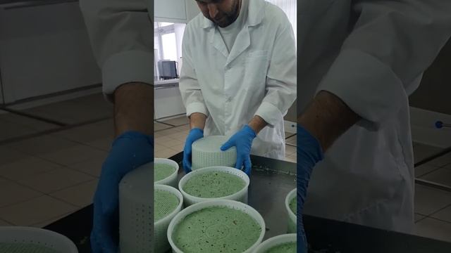 Зелёный сыр! Базирон Песто от сыроварни Добрая Ферма смотреть онлайн