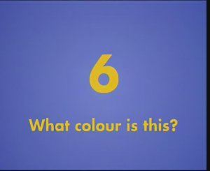 Gogo Loves English 6 - What colour is this