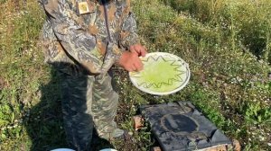 РЕПОРТАЖ С КОЧЕВОЙ ПАСЕКИ!!!