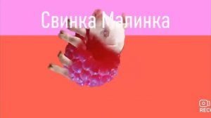 Мышка сосиска, крыска ириска,кот бутерброд авокадо бегемот и так Далия