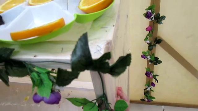Впервые видим бабочек! смотреть онлайн
