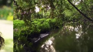 Сюмбель Загидуллина. Хыянэт.