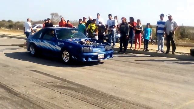 Piques de la Isla de Margarita смотреть онлайн