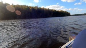 Рыбалка на Свири. ЭТО НЕ ЛЕЩ!!!