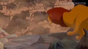 Шрам убивает муфасу😰|Король лев