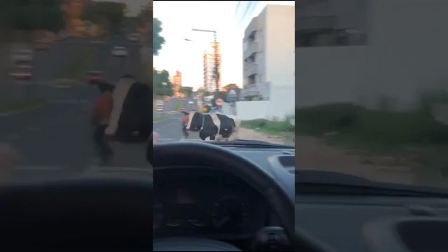 Подписывайся и готовься к порции безумия, которая взорвет твой день! 🚀 смотреть онлайн