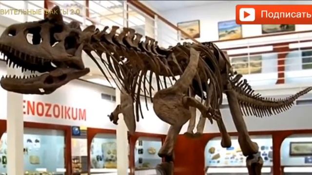 САМЫЕ УДИВИТЕЛЬНЫЕ ДИНОЗАВРЫ смотреть онлайн