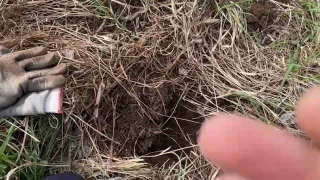 5 копеек КРЕСТОВИК мечта КЛАДОИСКАТЕЛЯ!!! смотреть онлайн