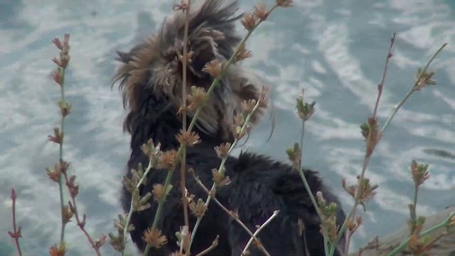 Велотур Таганрог смотреть онлайн