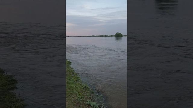 Подстепное 23.04.2024. Уровень воды. #паводок #потоп #вода #мост смотреть онлайн