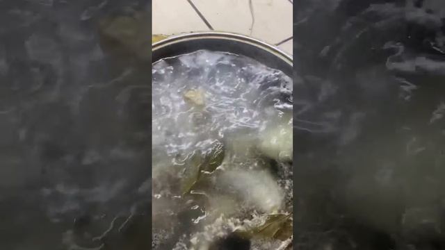 Matalashka shoʻrva #shortvide #shortreels #shorttop #reelsvideo #reelshorts #topuzb #topreels#uzbak смотреть онлайн