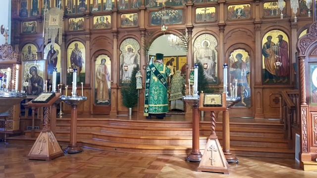 Palm Sunday Liturgy 2020 смотреть онлайн