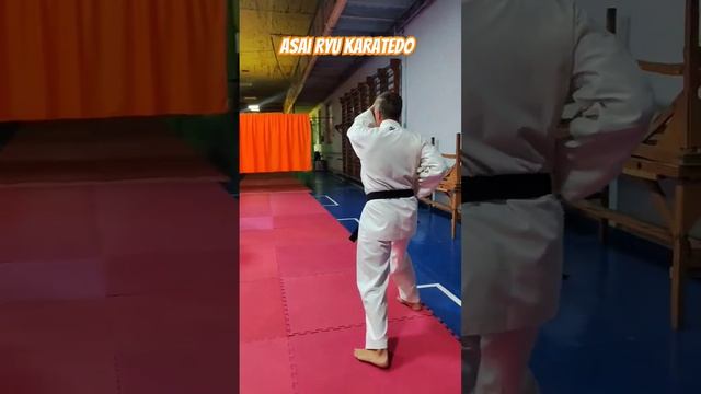 Цуки но ката. Вспоминаем последовательность выполнения. #asairyu #каратэ #karate смотреть онлайн