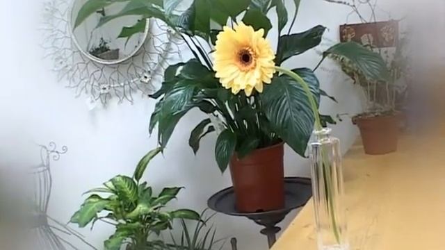 Тв Рязань Добрый Вечер 20 августа 2011 смотреть онлайн