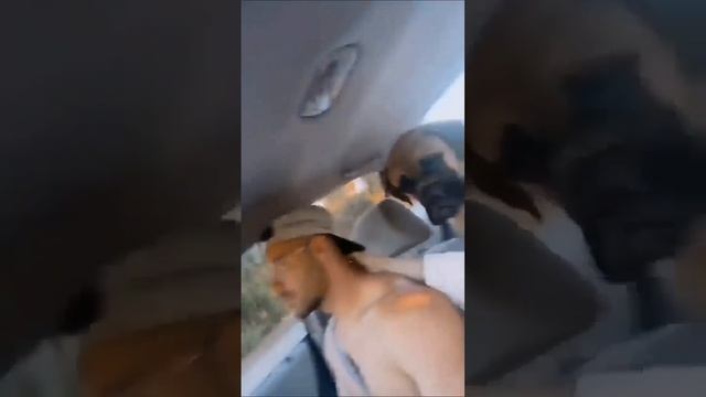 Подписывайся и готовься к порции безумия, которая взорвет твой день! 🚀 смотреть онлайн