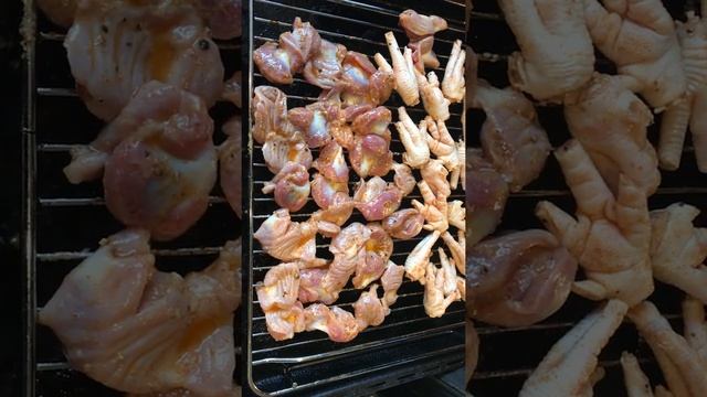 IMG 8014 смотреть онлайн