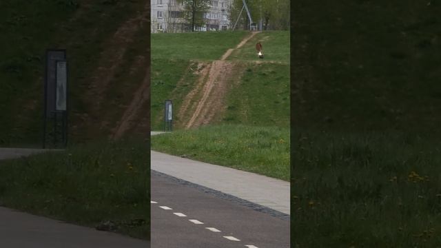 Leaperkim Lynx Climbing #euc #leaperkim #needhelmet