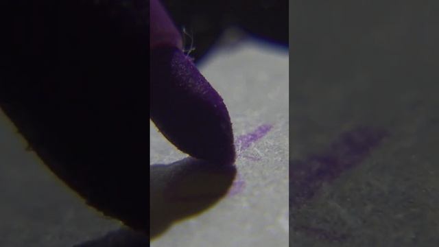 macro photography смотреть онлайн