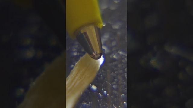 macro photography 1 смотреть онлайн