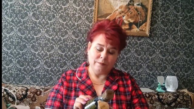 ОБЗОР ПОКУПОК 🛍️ С ВАЙЛДБЕРРИЗ #НОВОГОДНИЙ ГОРОД 🏙️ #МОИ ПОКУПКИ 🎆 смотреть онлайн