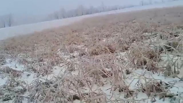 Охота на зайца... смотреть онлайн