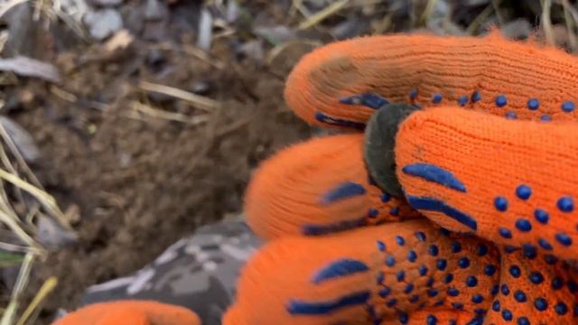 Имперский жетон и серебро! смотреть онлайн