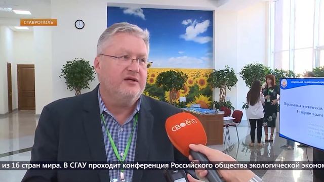РОЭЭ СвоеТВ смотреть онлайн