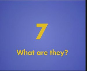 Gogo Loves English 7 - What are they