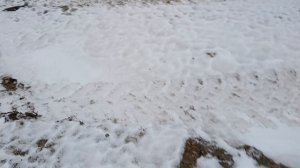 Взрываем питарды 3 корсар 4 корсар🧨