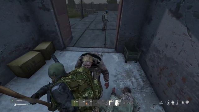 DAyZ:Livonia (Пиратка)