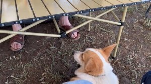 Кемпинг Утриш 2 часть с надувными палатками