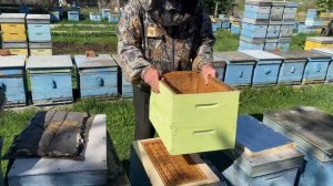 Особенности работы с 8-ми рамочным ульем!!!